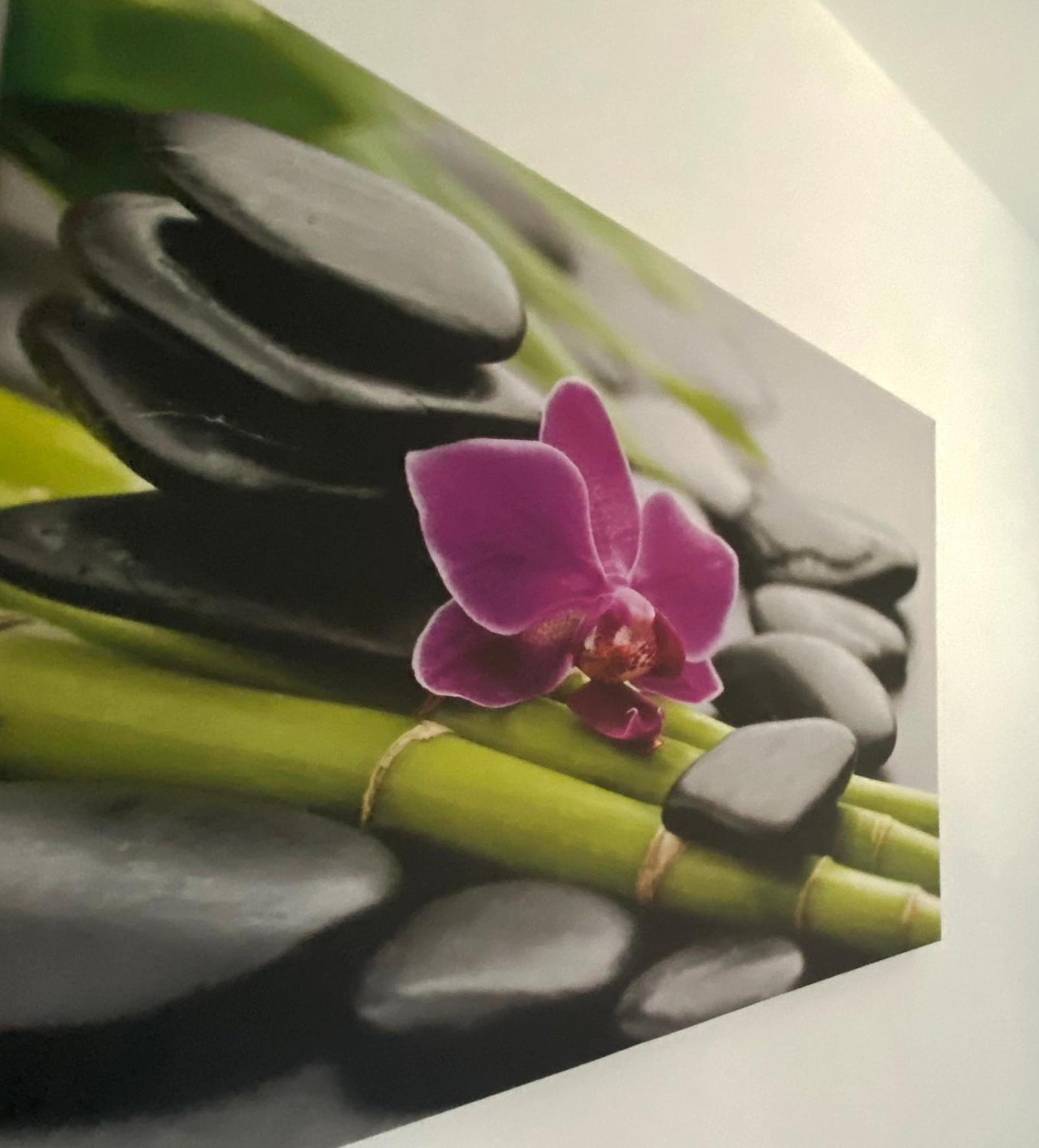 Four Flowers Apartman Siófok Esterno foto