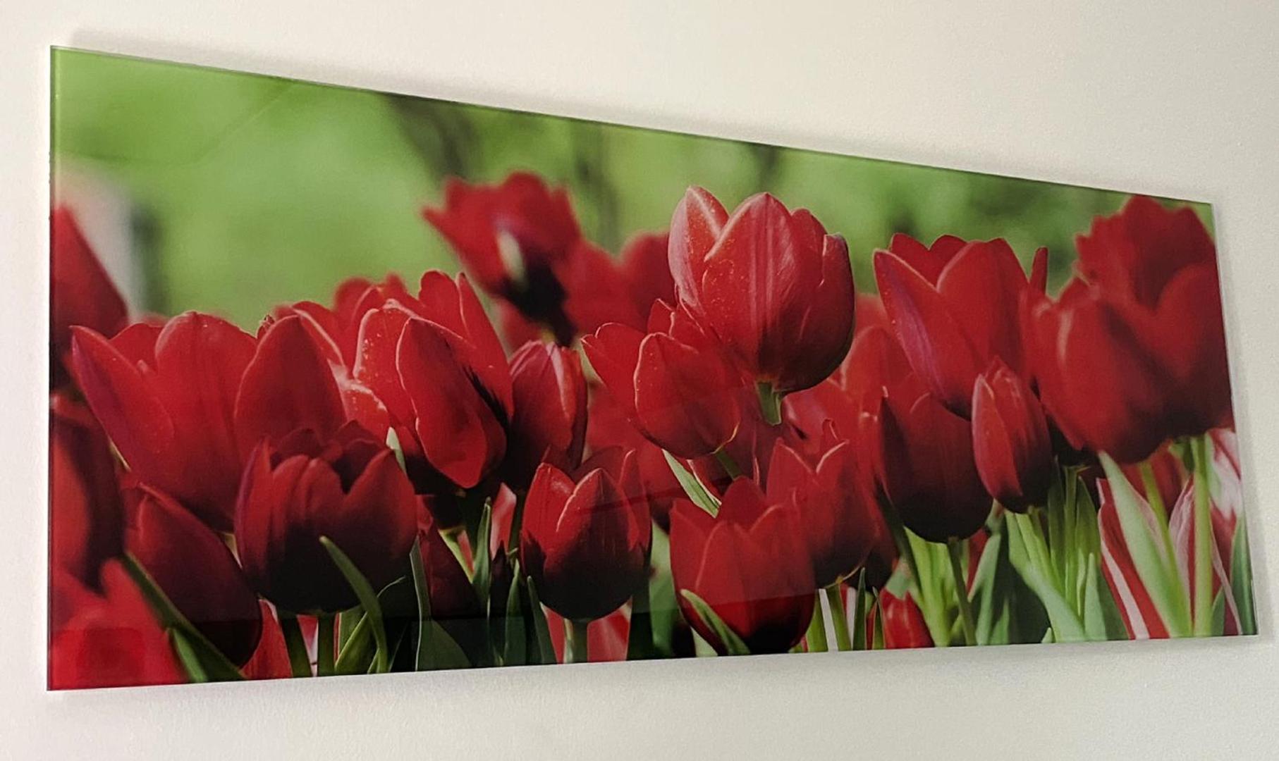 Four Flowers Apartman Siófok Esterno foto
